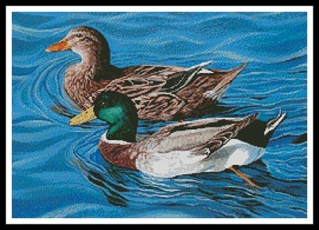 Mallards  (Mike Bennet)
