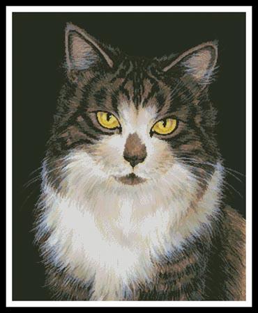 Look into my Eyes  (Marilyn Barkhouse)