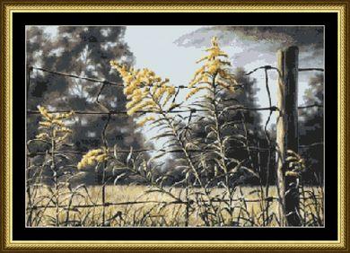 Touch of Gold