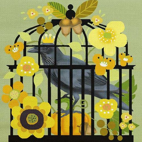 Crow Cage