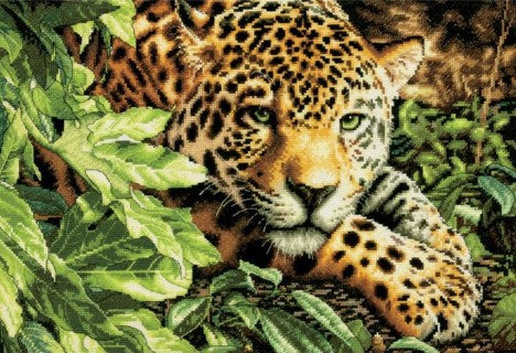 Leopard in Repose