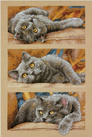 Max The Cat