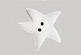 Medium Ivory Star