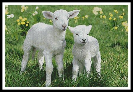 Easter Lambs