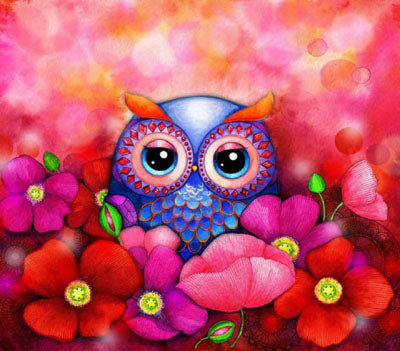Owl In Poppy Field