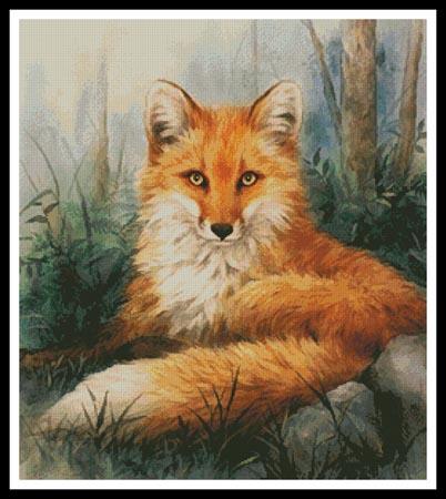 Woodland Beauty  (Kayomi Harai)