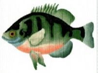 Bluegill