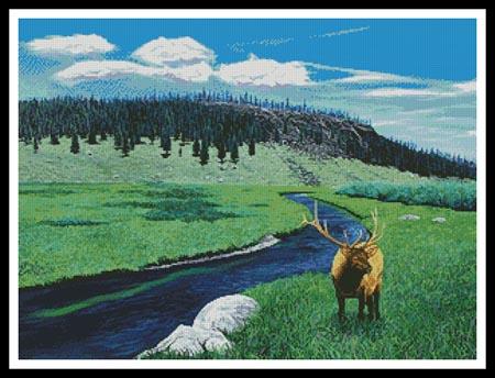 Elks Domain  (Mike Bennett)