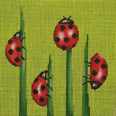 Ladybugs