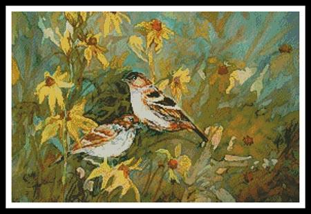 Sparrows in the Field  (Jamie Carter)