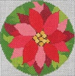 Poinsettia