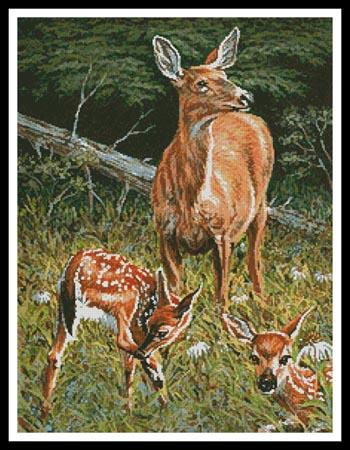 Mother's Worry  (Richard DeWolfe)