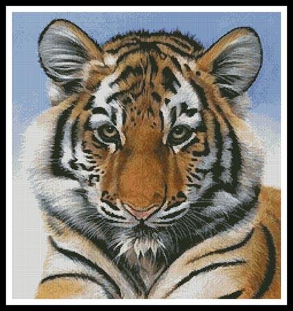 Little Big Cat  (Karie-Ann Cooper)