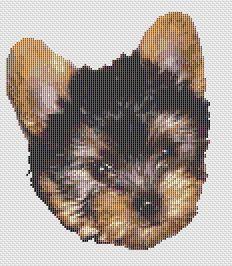 Romeo