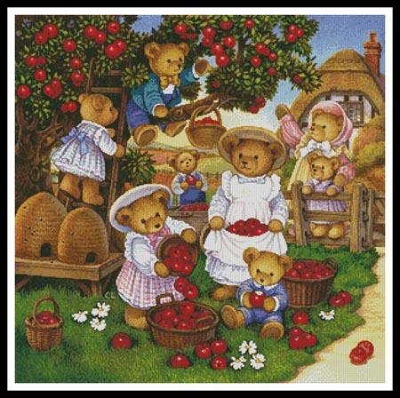 Apple Harvest