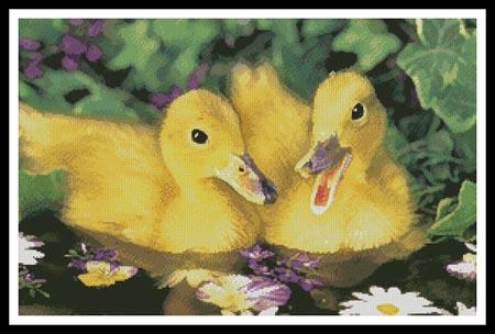 Two Ducklings
