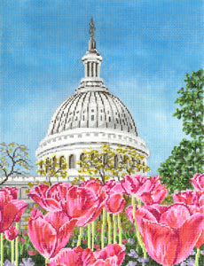 Washington DC Street Scene