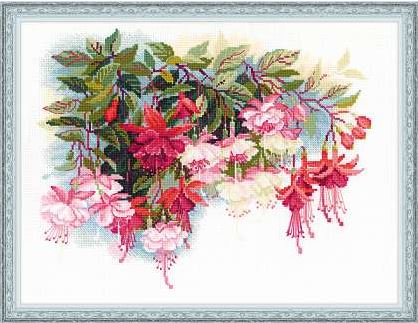 Fuschia