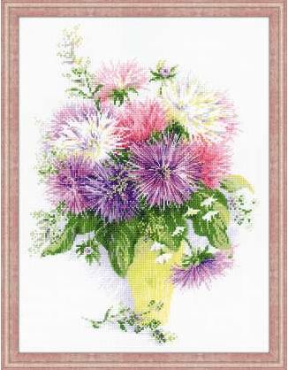 Asters