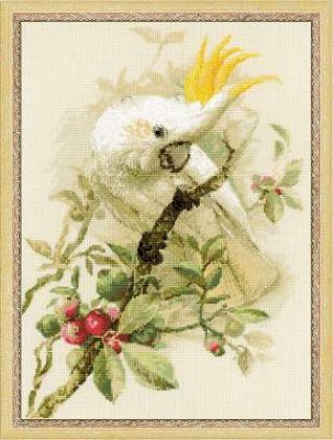 White Cockatoo
