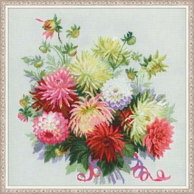 Dahlias