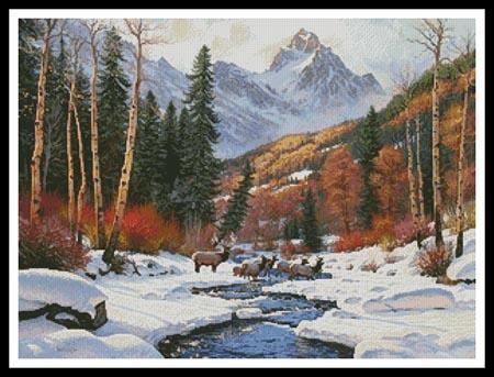 Winter Blanket