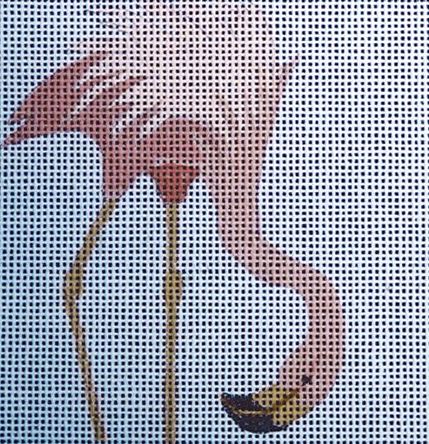 Flamingo - Shrimping