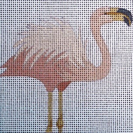 Flamingo - Standing