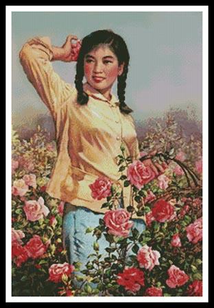 Field of Roses