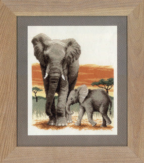 Elephant's Journey