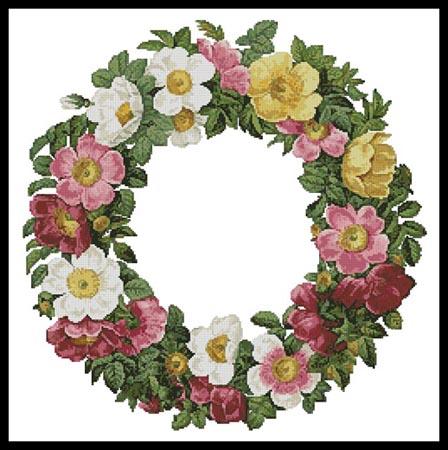 Christmas Roses