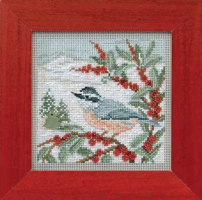 Nuthatch