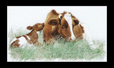 Red Cow - 32ct