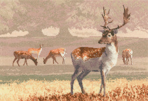 Deer Park - Aida