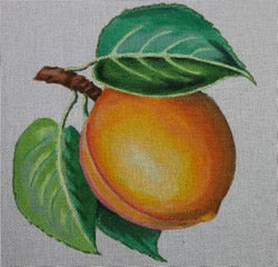 Large Apricot