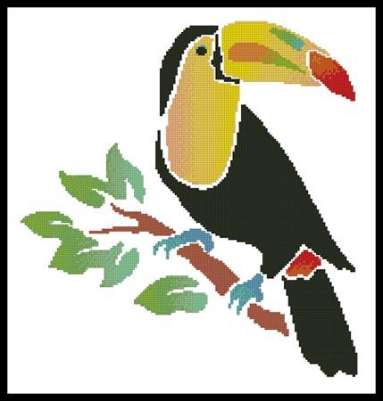 Toucan  (Joni Prittie)