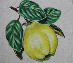 Large Quince