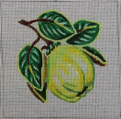 Small Quince