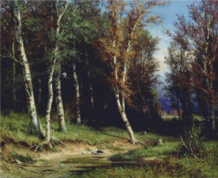 Forest Before the Storm