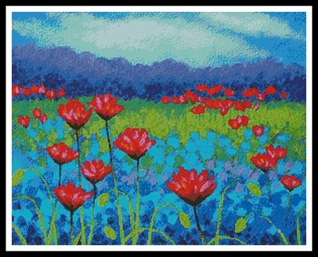 Poppy Study  (John Nolan)