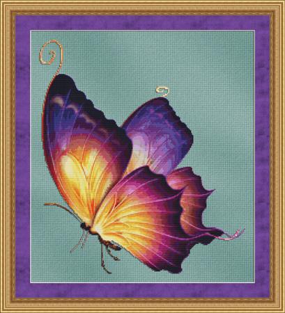 Flutter No 2 Butterfly