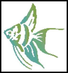 Angelfish  (Joni Prittie)