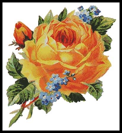 Antique Yellow Rose 2