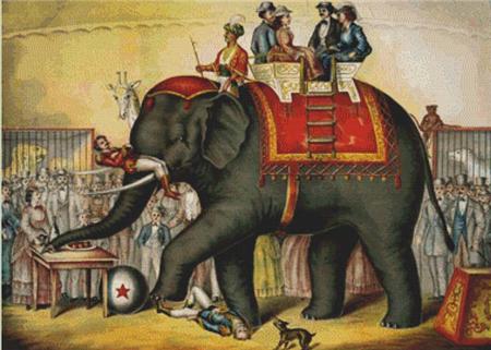 Performing Elephant