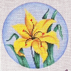 Crocus