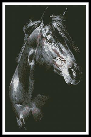 Private Dreamer Stallion