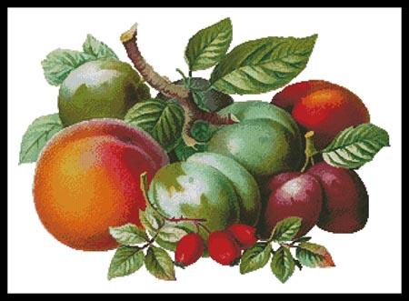 Fruits 2