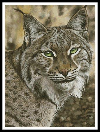 Lynx Effect, The  (Karie-Ann Cooper)