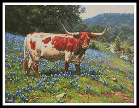 Miss Texas  (Mark Keathley)