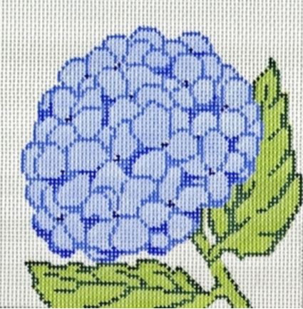 Hydrangea